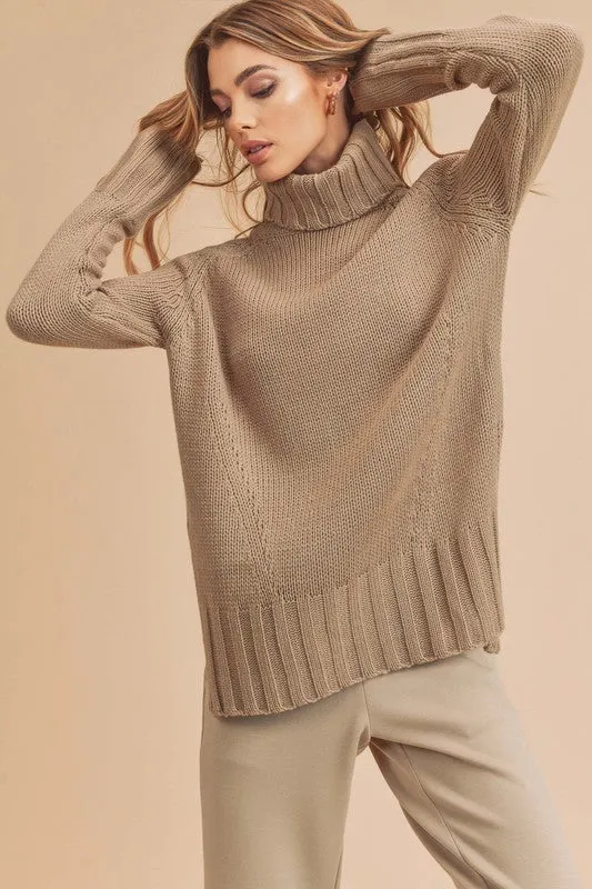 Aemi   Co Danica Turtle Neck Sweater