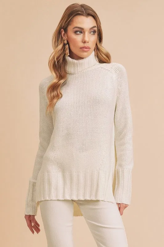 Aemi   Co Danica Turtle Neck Sweater
