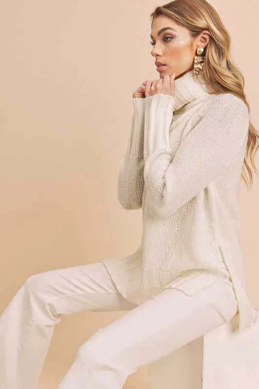 Aemi   Co Danica Turtle Neck Sweater