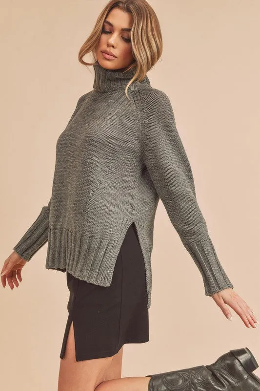 Aemi   Co Danica Turtle Neck Sweater