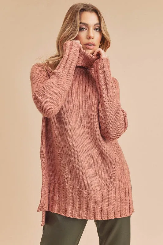 Aemi   Co Danica Turtle Neck Sweater