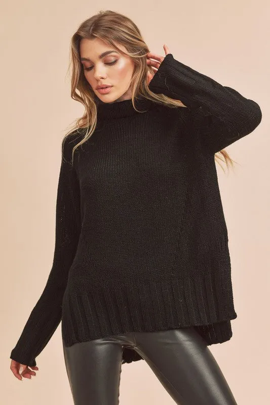 Aemi   Co Danica Turtle Neck Sweater