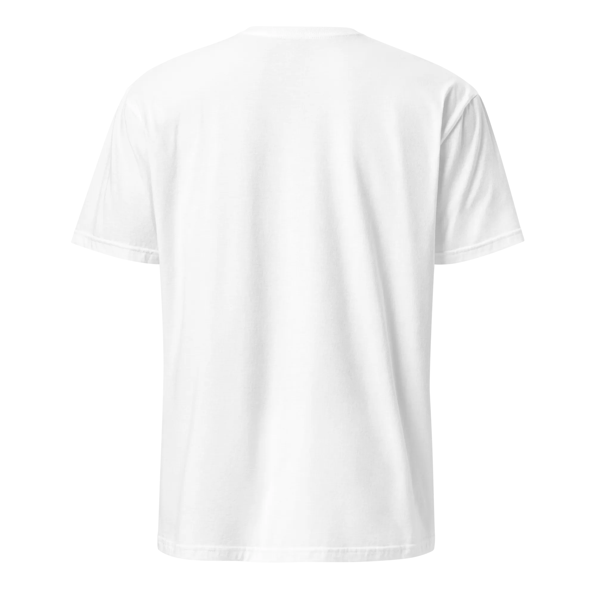 All You Need Is A Dominican Girlfriend T-Shirt