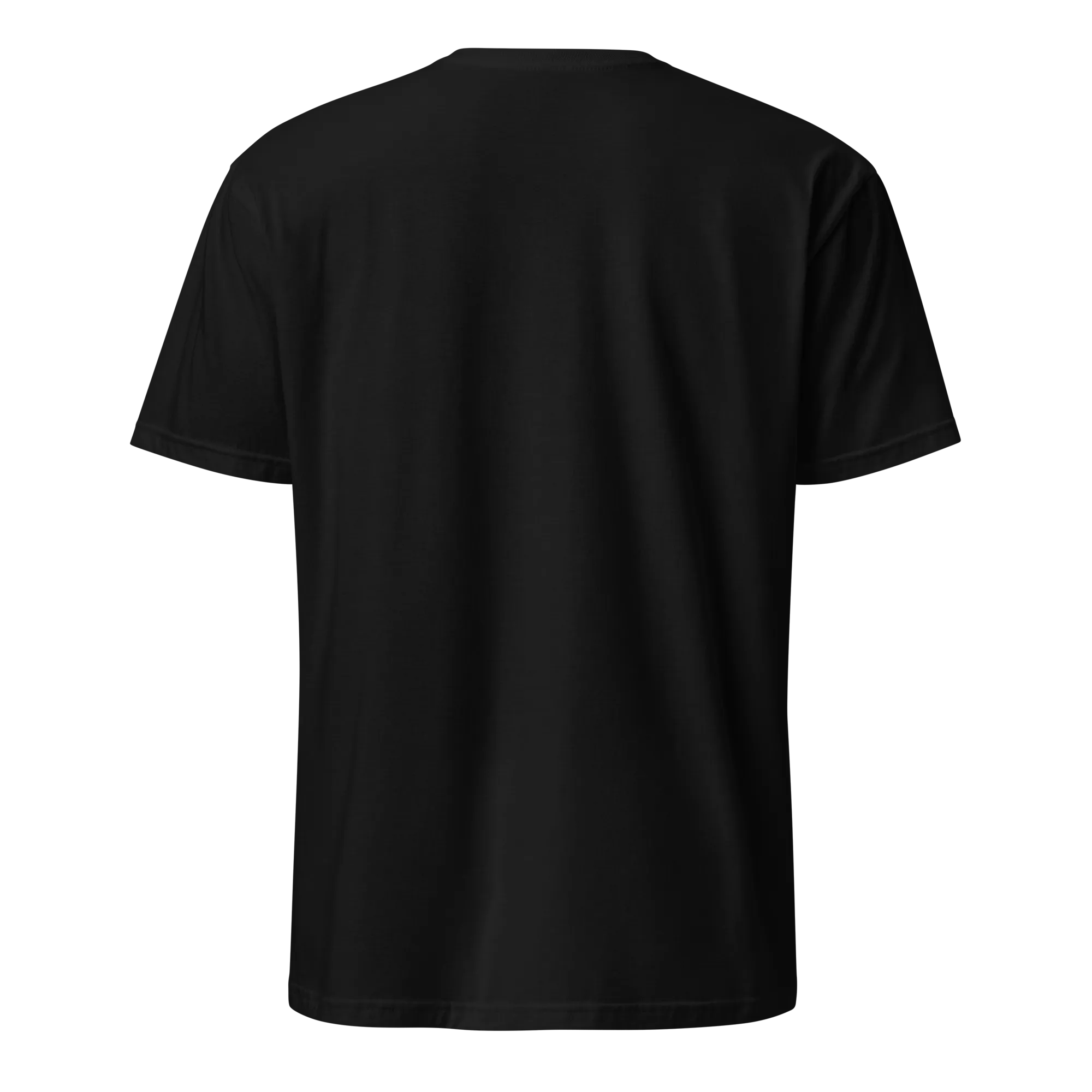 All You Need Is A Dominican Girlfriend T-Shirt