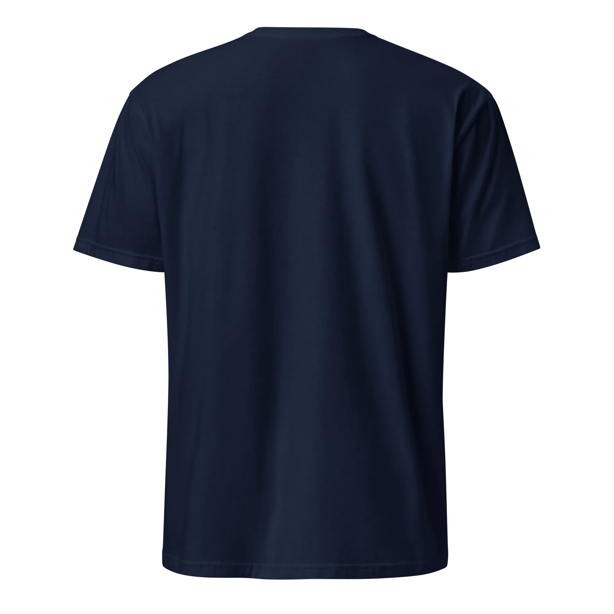 All You Need Is A Dominican Girlfriend T-Shirt