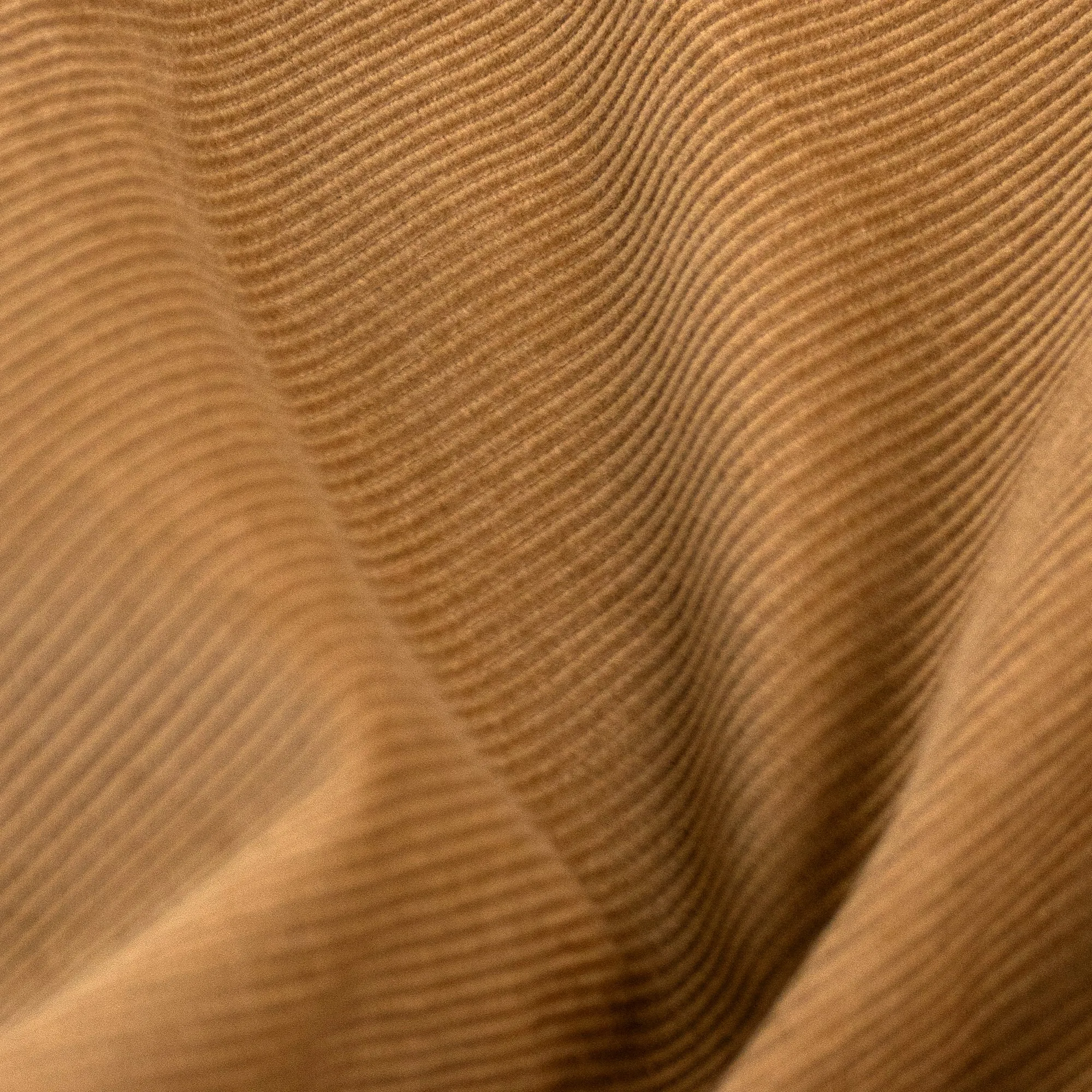 Anywhere Cord Shorts (Sand)
