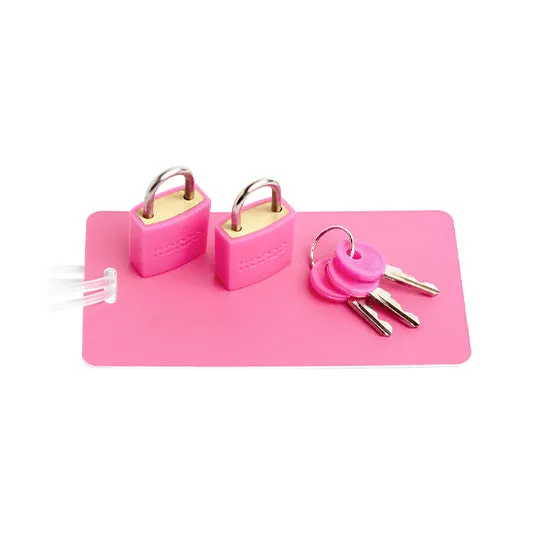 Baggage ID Set (Pink)