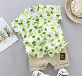 Cartoon Dinosaur Print Toddler Boy Set: Shirt   Pants