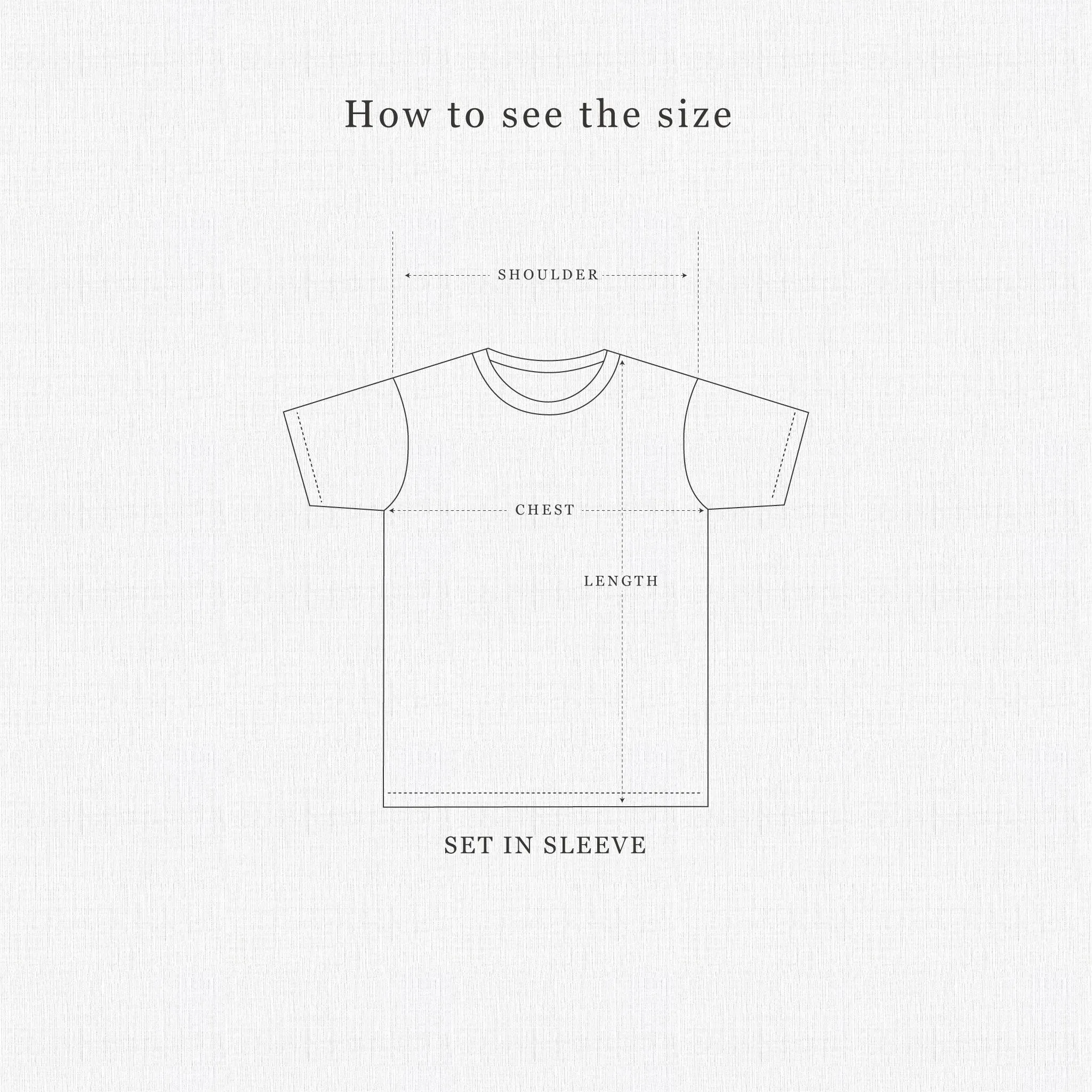 Diplomat - Cotton Crew  Neck Tee Shirt
