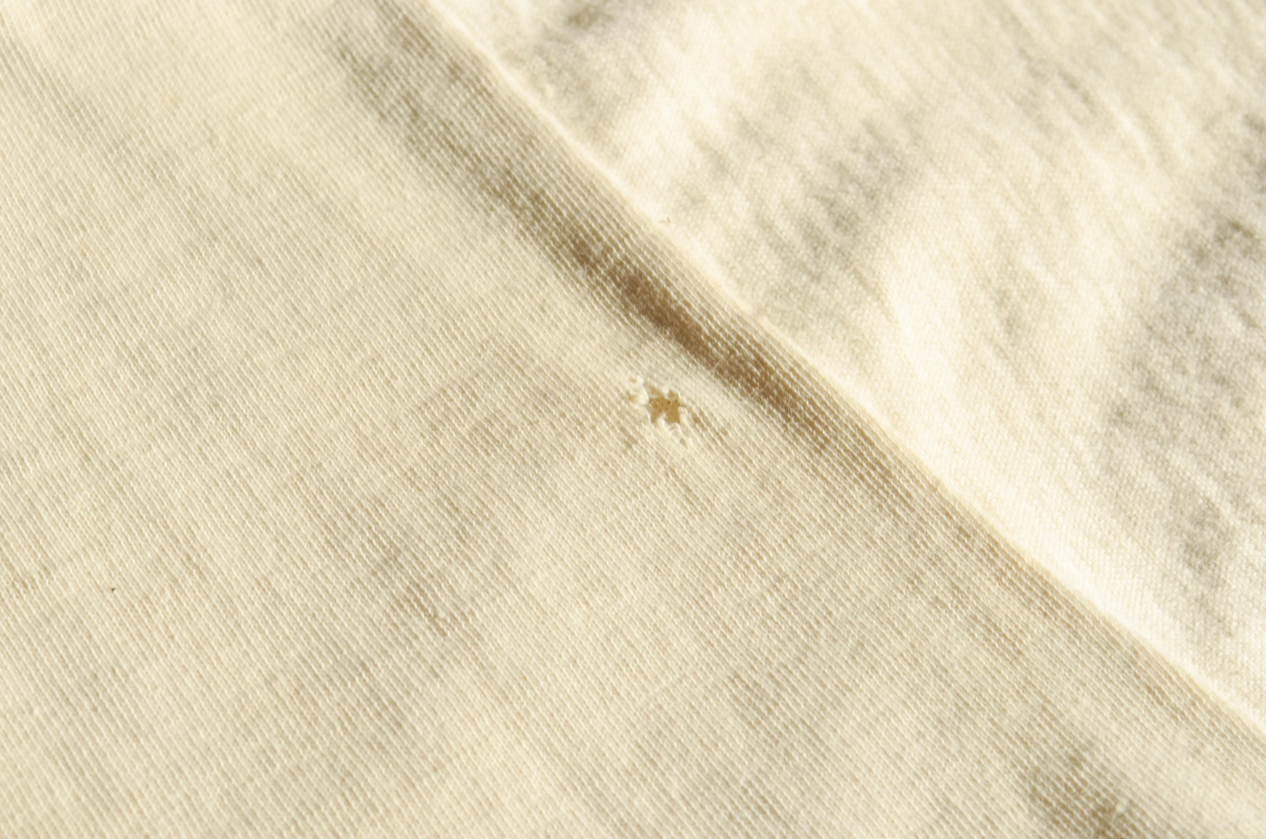 Diplomat - Cotton Crew  Neck Tee Shirt