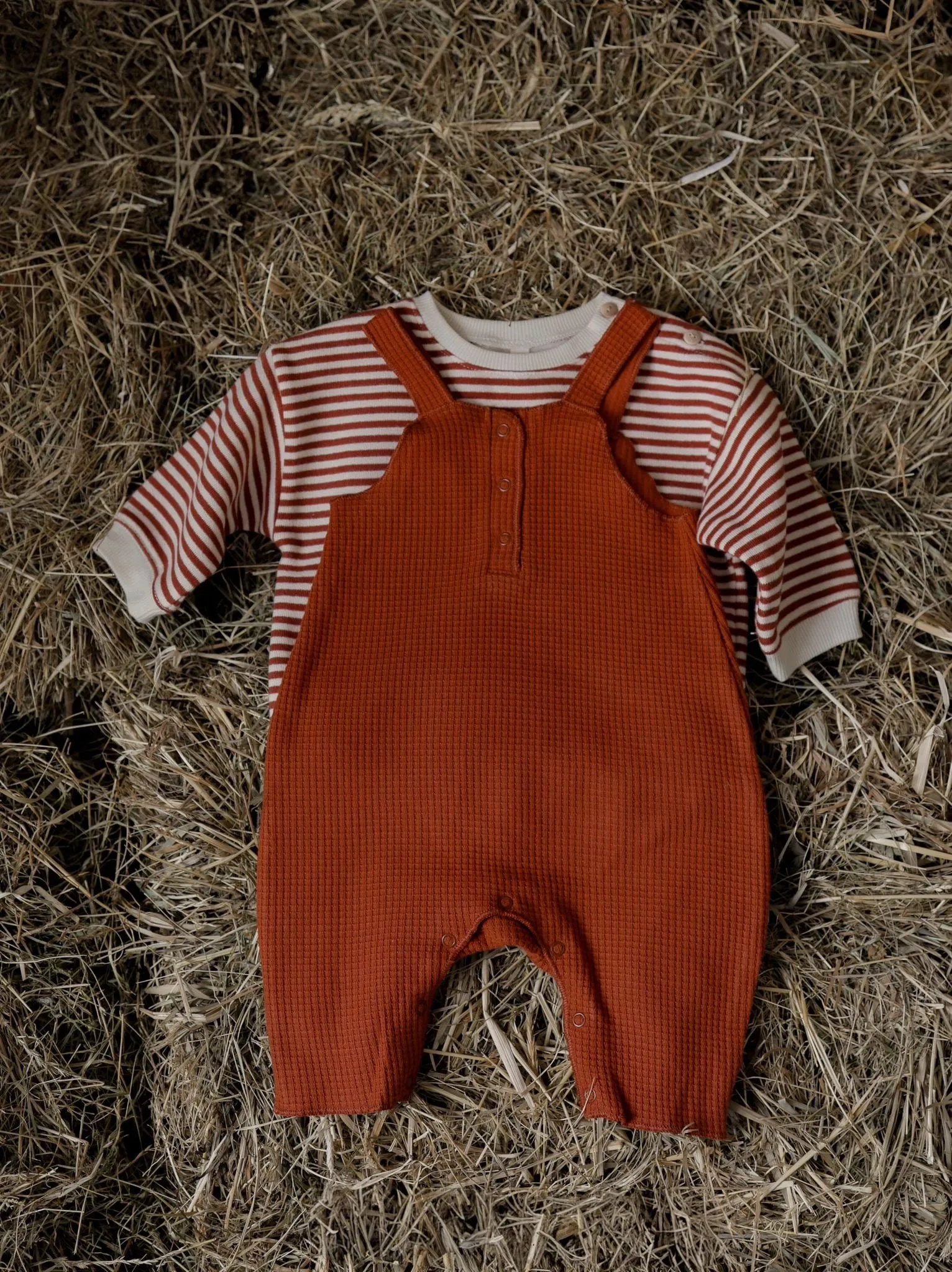 Paprika Stripes Sweatshirt