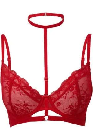 Sheer Evil Bra - Scarlet -