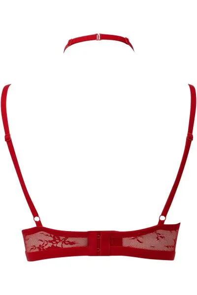 Sheer Evil Bra - Scarlet -