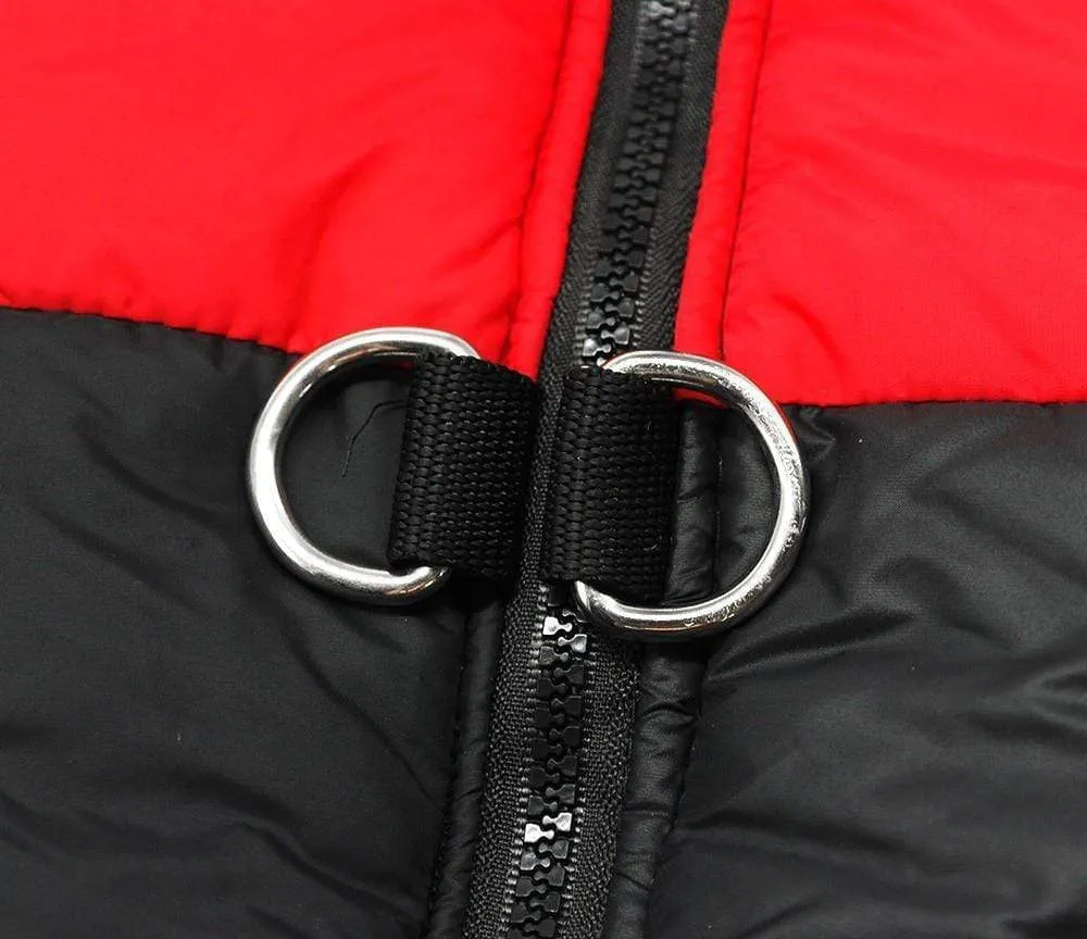 Winter Dog Vest