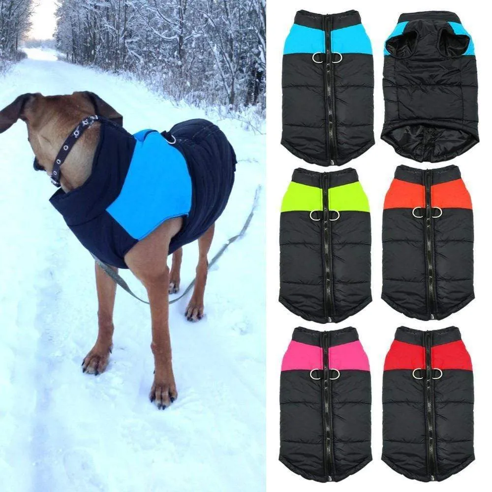 Winter Dog Vest