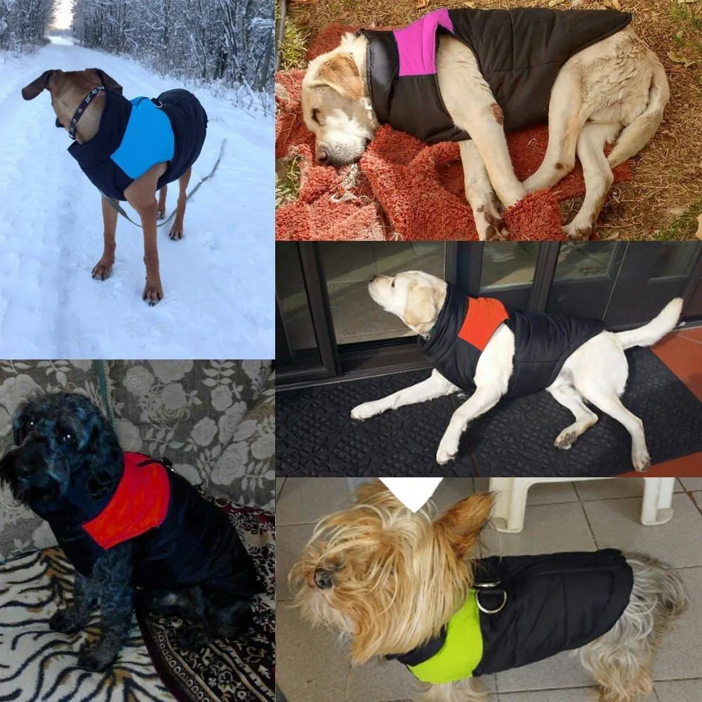 Winter Dog Vest