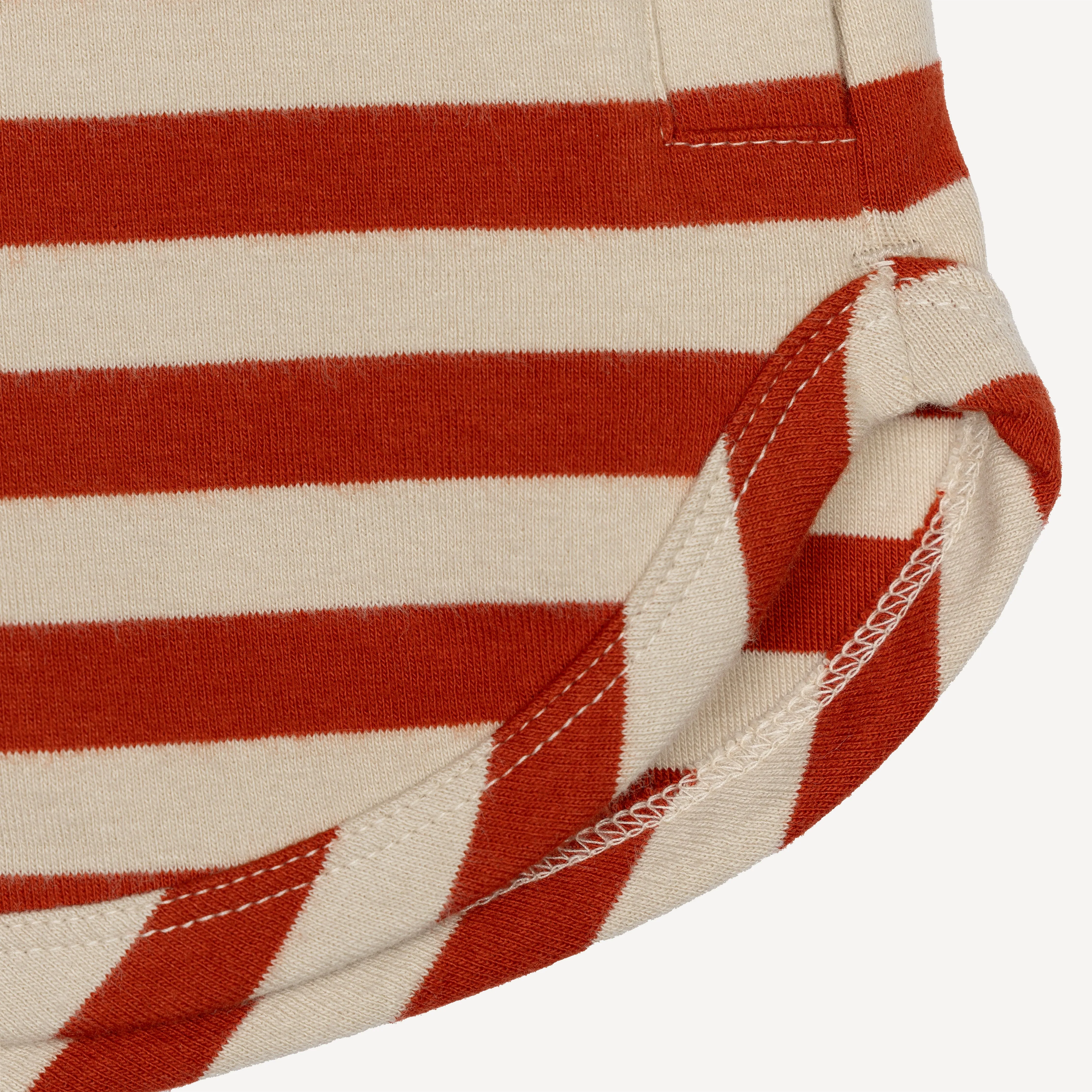 Womens Stripe Dolphin Shorts - Rooibos Tea / Fog